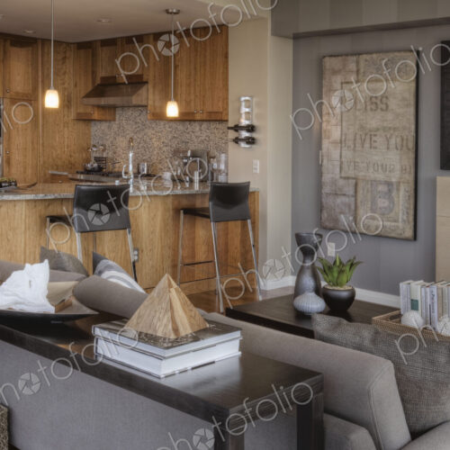 High End Living Room