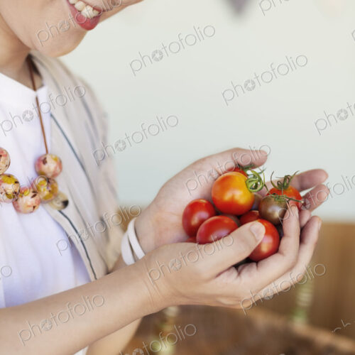High angle close up of Japanese woman holding freshly picked tomatoes. High angle close up of Japanese woman holding freshly picked tomatoes.