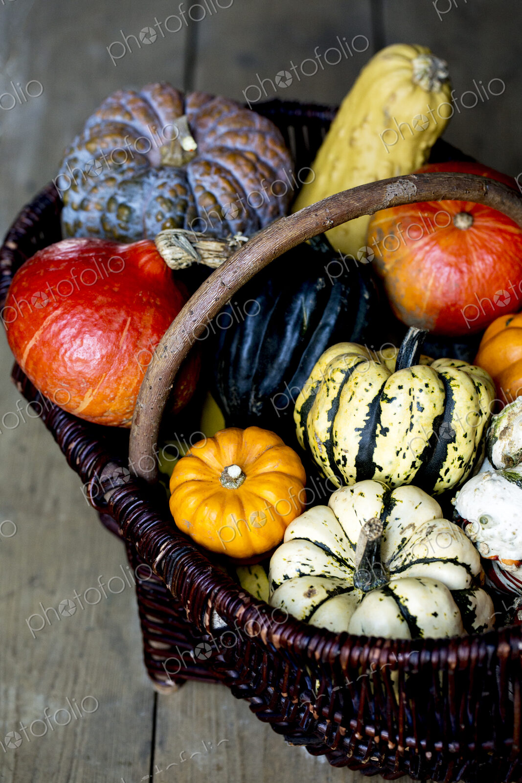High angle close up of a basket with a variety of freshly harvested pumpkins.