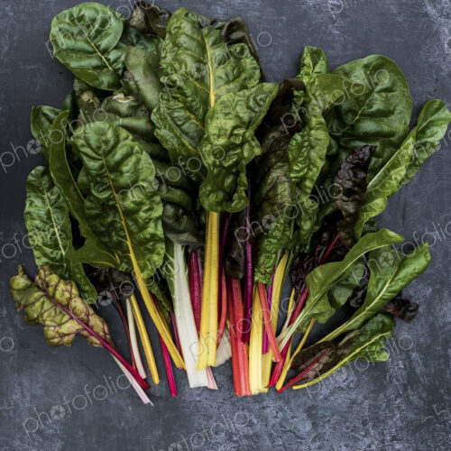 High angle close up of a bunch of freshly picked Swiss rainbow chard on grey background. High angle close up of a bunch of freshly picked Swiss rainbow chard on grey background.