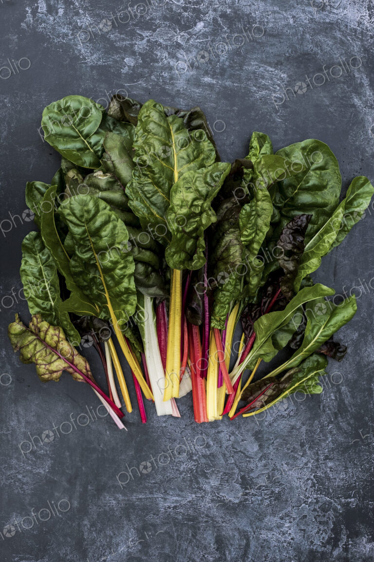 High angle close up of a bunch of freshly picked Swiss rainbow chard on grey background.