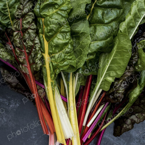 High angle close up of a bunch of freshly picked Swiss rainbow chard on grey background. High angle close up of a bunch of freshly picked Swiss rainbow chard on grey background.