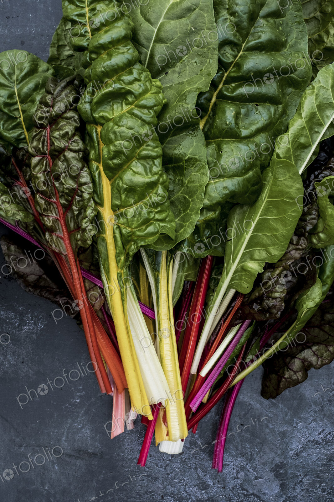 High angle close up of a bunch of freshly picked Swiss rainbow chard on grey background.
