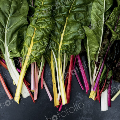 High angle close up of a bunch of freshly picked Swiss rainbow chard on grey background. High angle close up of a bunch of freshly picked Swiss rainbow chard on grey background.