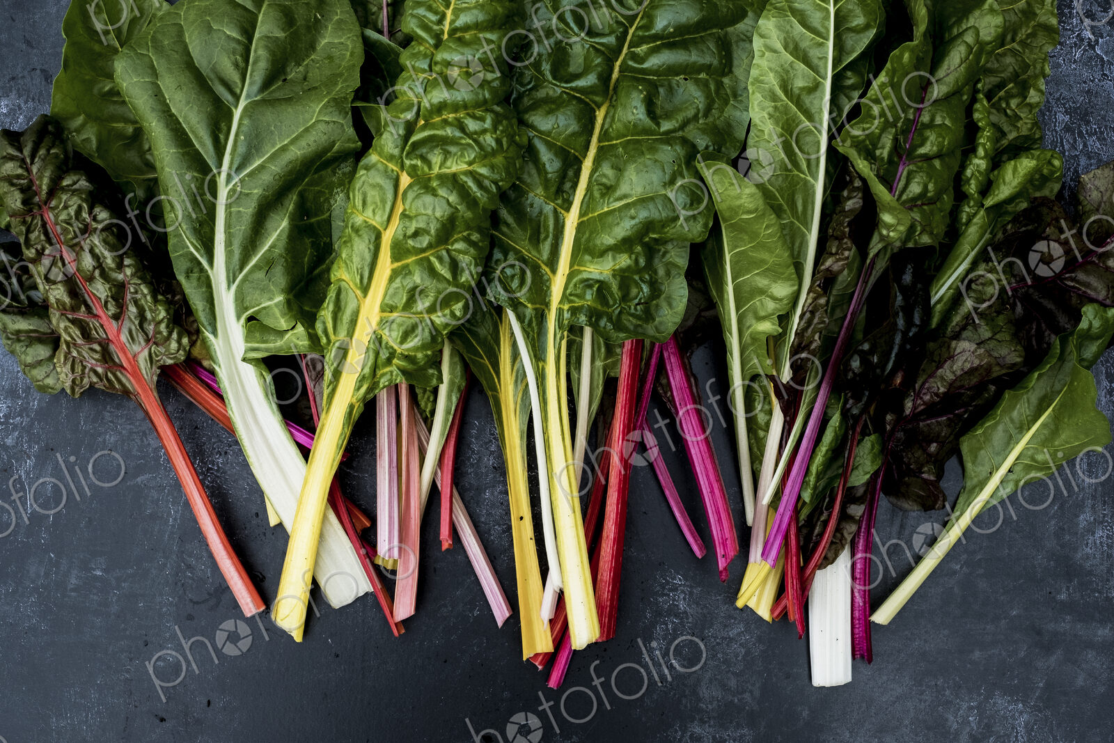 High angle close up of a bunch of freshly picked Swiss rainbow chard on grey background.