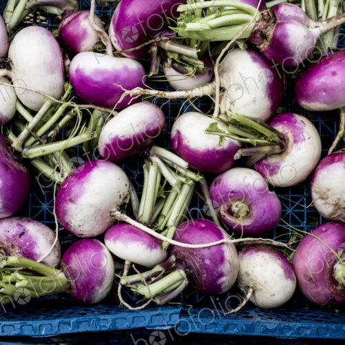 High angle close up of a crate with freshly picked white and purple turnips.