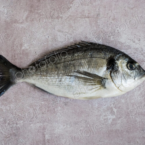 High angle close up of a fresh sea bream. High angle close up of a fresh sea bream.