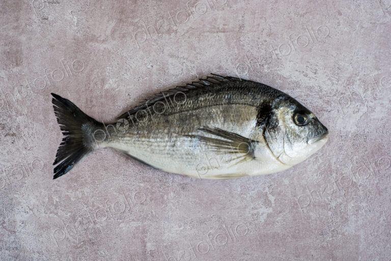 High angle close up of a fresh sea bream.