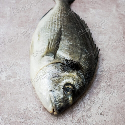 High angle close up of a fresh sea bream.