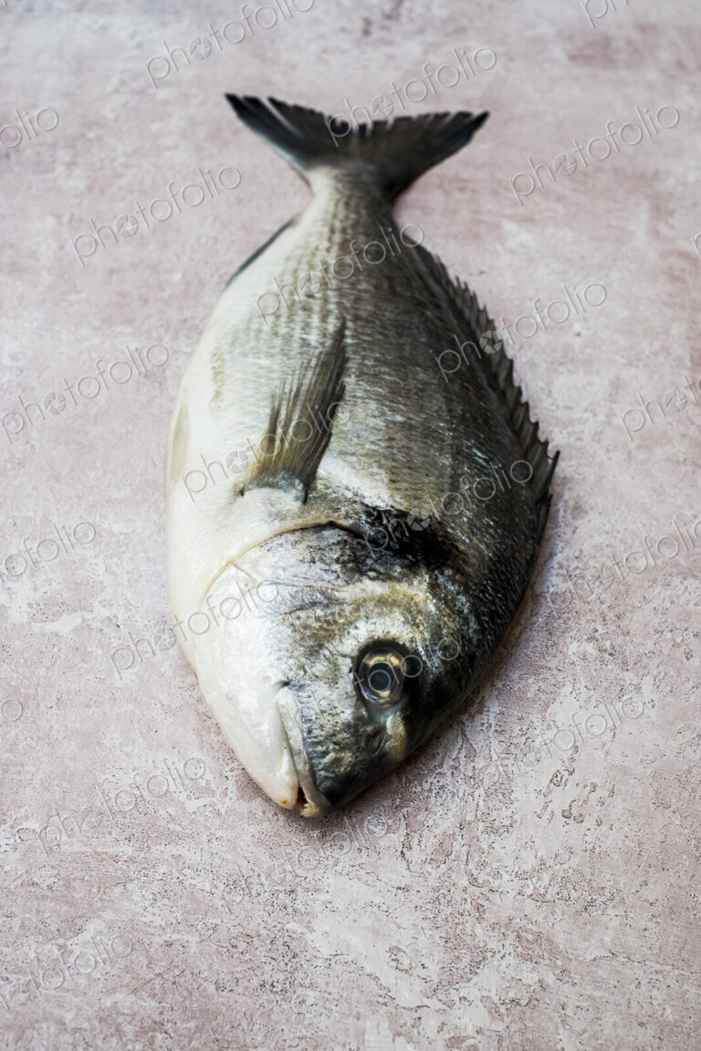 High angle close up of a fresh sea bream.