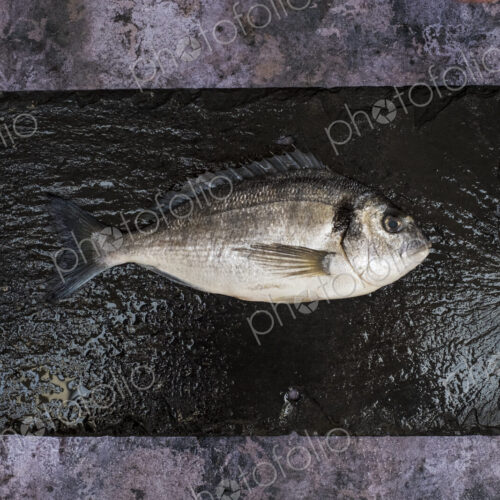 High angle close up of a fresh sea bream on black slate. High angle close up of a fresh sea bream on black slate.