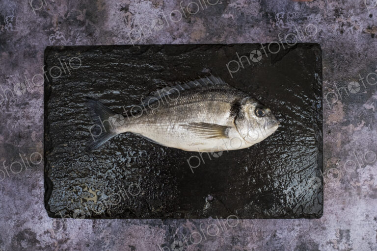 High angle close up of a fresh sea bream on black slate.