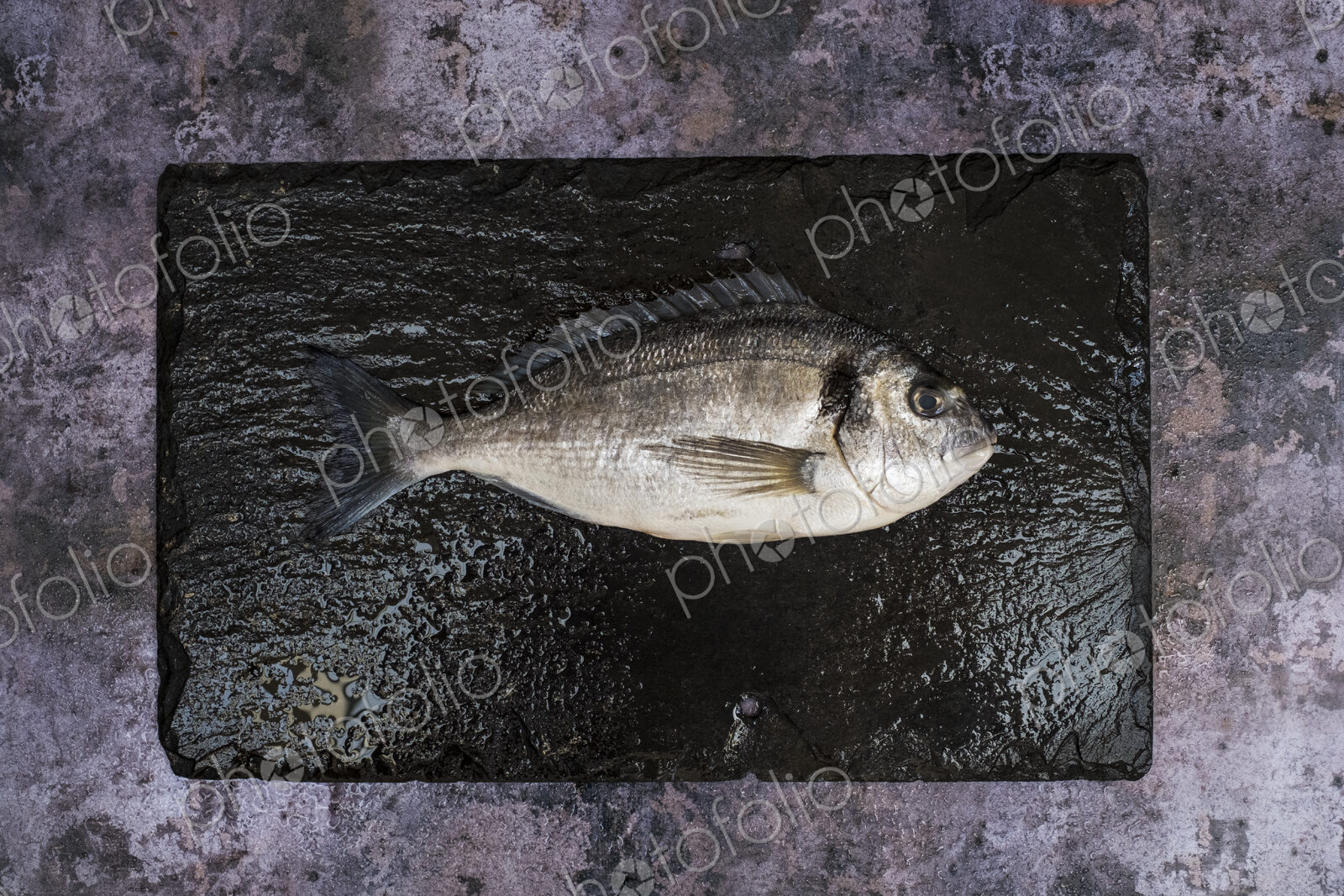 High angle close up of a fresh sea bream on black slate.