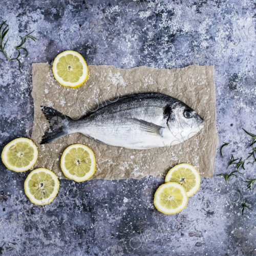 High angle close up of a fresh sea bream, slices of lemon and fresh rosemary. High angle close up of a fresh sea bream, slices of lemon and fresh rosemary.