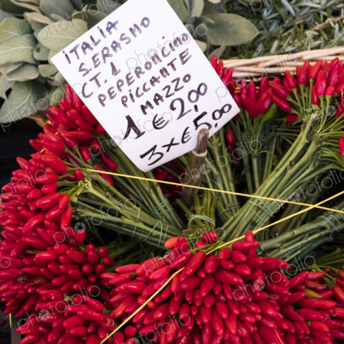 High angle close up of a large bunch of fresh red chillies at an Italian market stall. High angle close up of a large bunch of fresh red chillies at an Italian market stall.