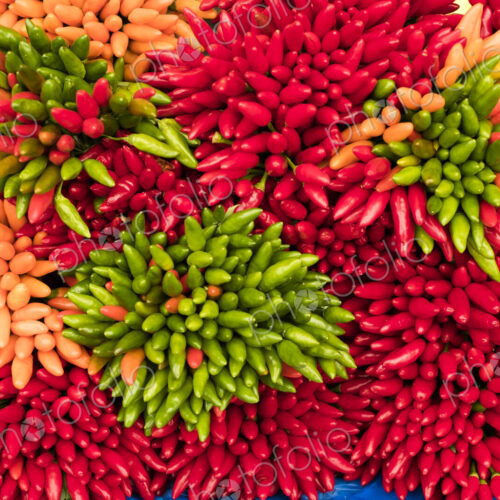 High angle close up of a large bunches of fresh red, green and orange chillies at a… High angle close up of a large bunches of fresh red, green and orange chillies at a…