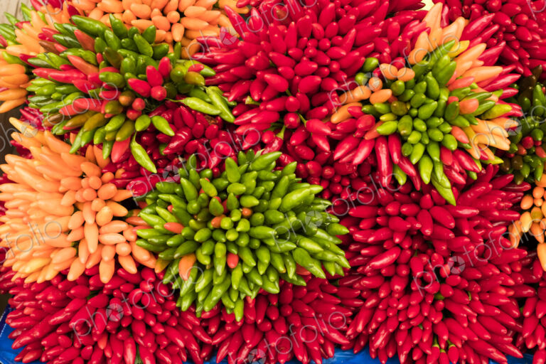 High angle close up of a large bunches of fresh red, green and orange chillies at a…