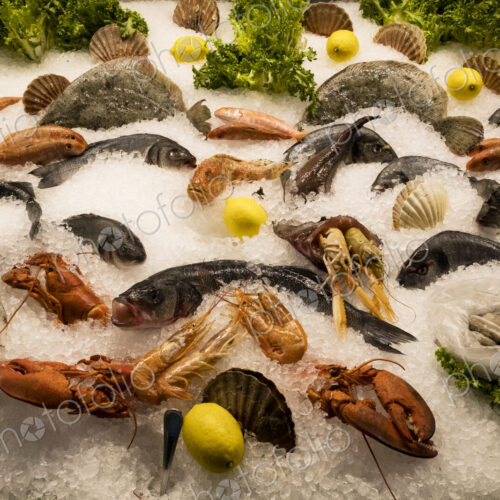 High angle close up of a selection of fresh fish and shellfish on ice at a market stall. High angle close up of a selection of fresh fish and shellfish on ice at a market stall.