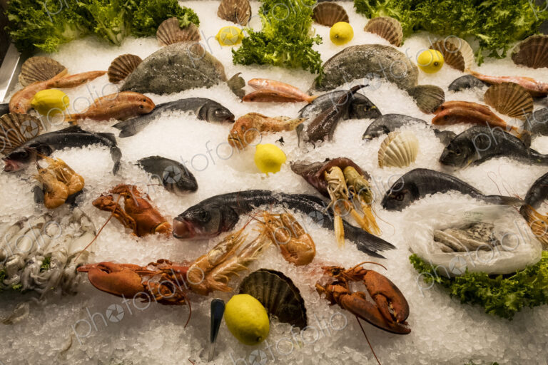 High angle close up of a selection of fresh fish and shellfish on ice at a market stall.
