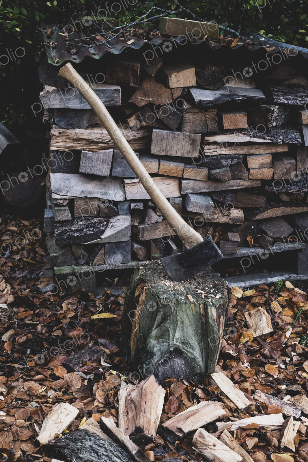 High angle close up of axe on chopping block, scattered wood cuttings and autumn leaves.