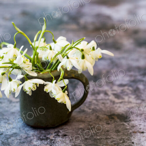 High angle close up of bunch of snowdrops in small jug on textured grey surface.