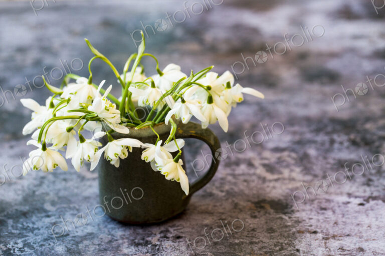 High angle close up of bunch of snowdrops in small jug on textured grey surface.