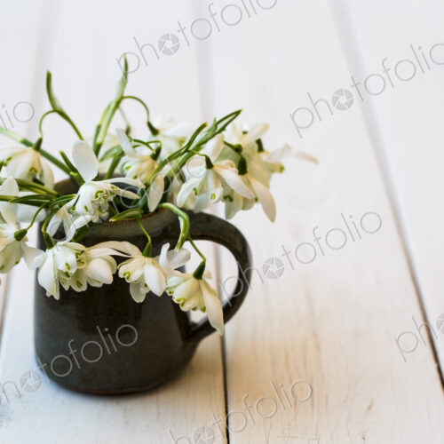 High angle close up of bunch of snowdrops in small jug on white wooden table.