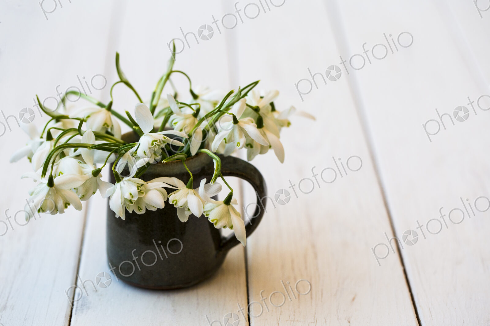 High angle close up of bunch of snowdrops in small jug on white wooden table.
