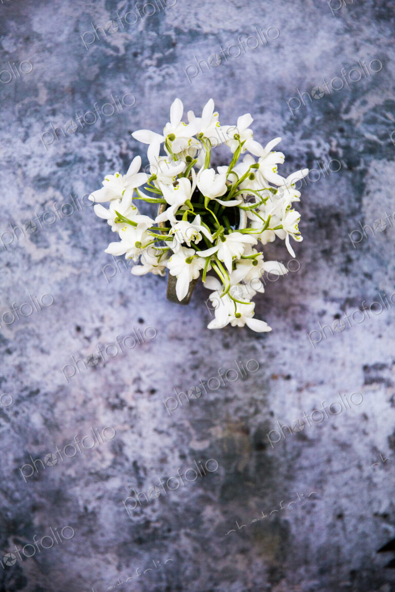 High angle close up of bunch of snowdrops on textured grey surface.