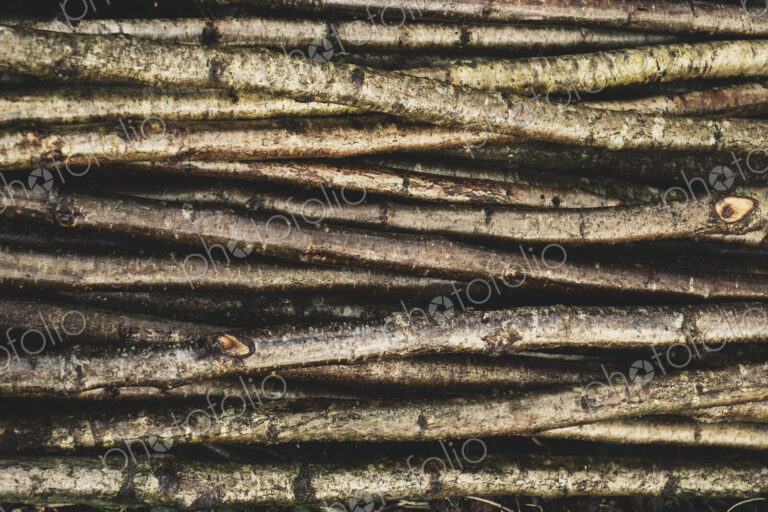 High angle close up of bunch of wooden stakes used in traditional hedge building.