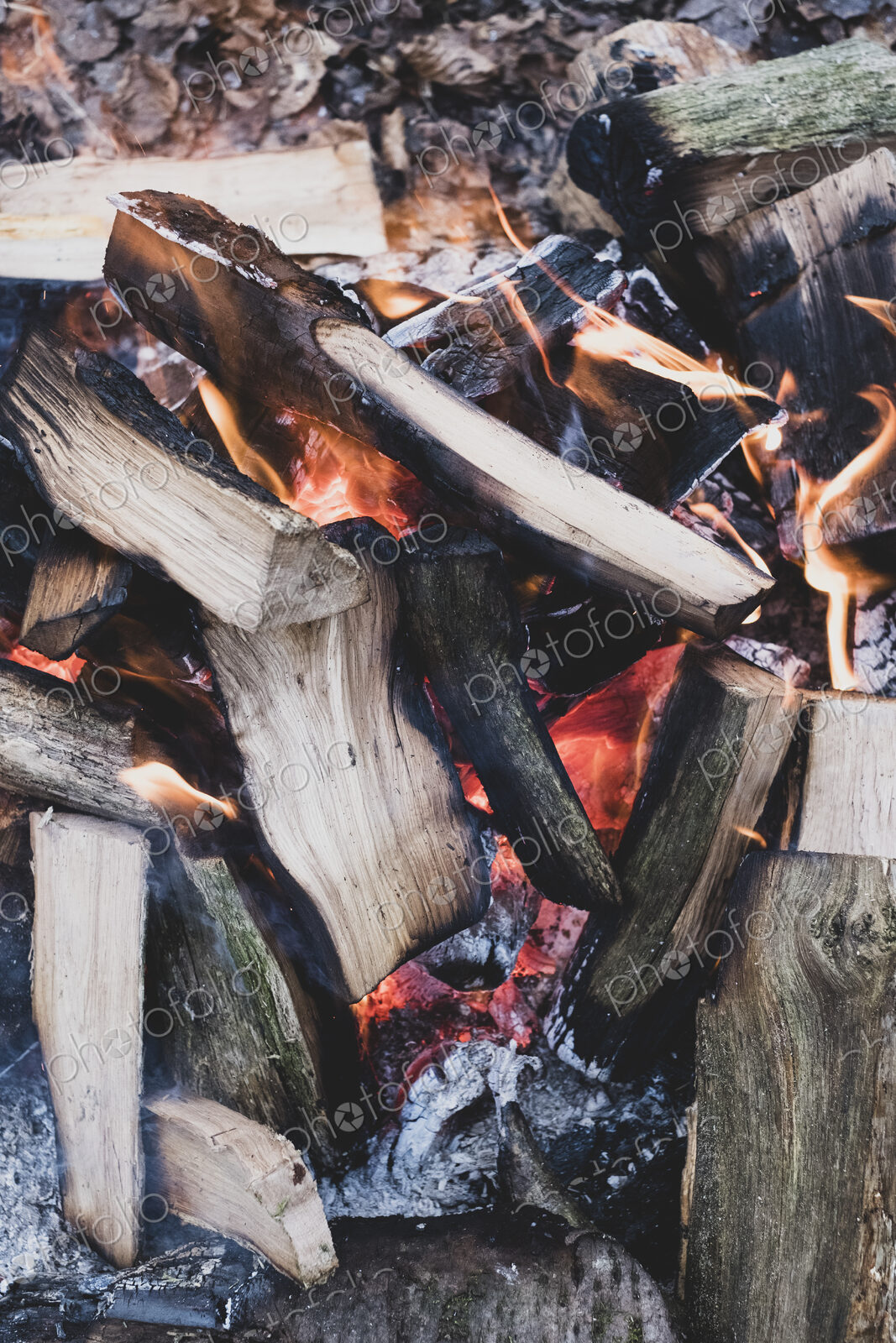 High angle close up of burning wooden logs of a campfire in a forest.