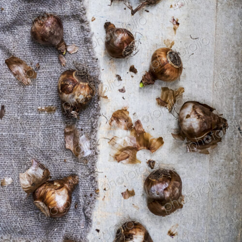 High angle close up of crushed brown onions on grey background.