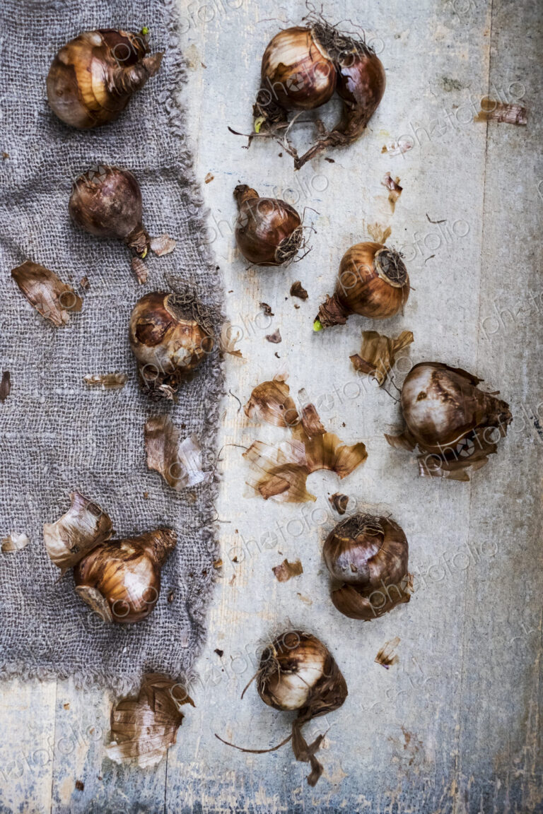 High angle close up of crushed brown onions on grey background.