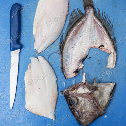 High angle close up of filleted John Dory fish and knife on blue chopping board.