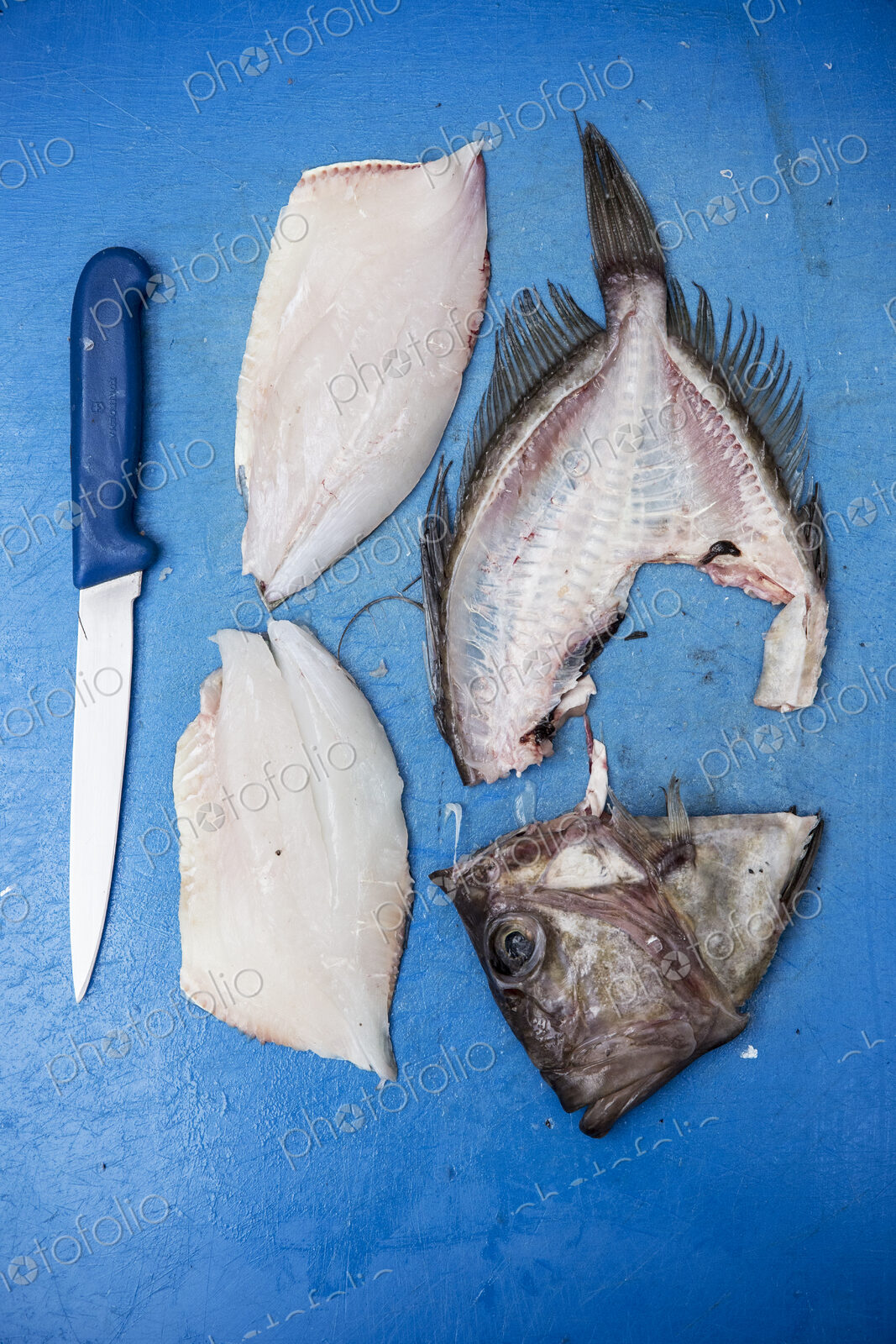 High angle close up of filleted John Dory fish and knife on blue chopping board.