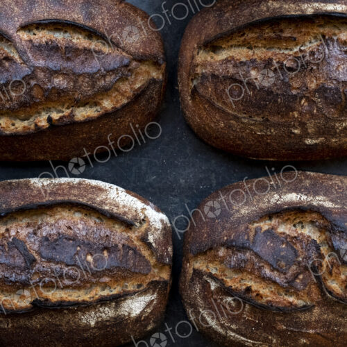 High angle close up of four freshly baked loaves of bread in an artisan bakery.