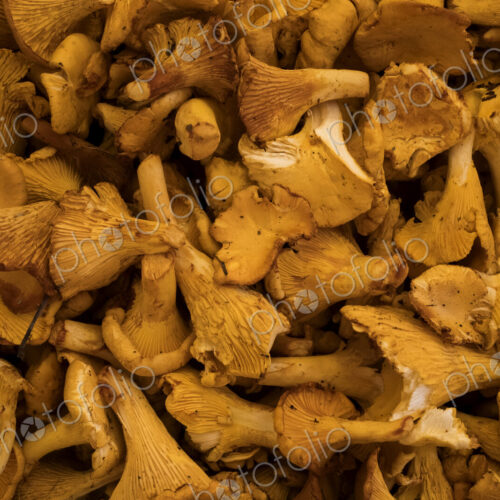 High angle close up of fresh Chanterelle mushrooms at a market stall. High angle close up of fresh Chanterelle mushrooms at a market stall.