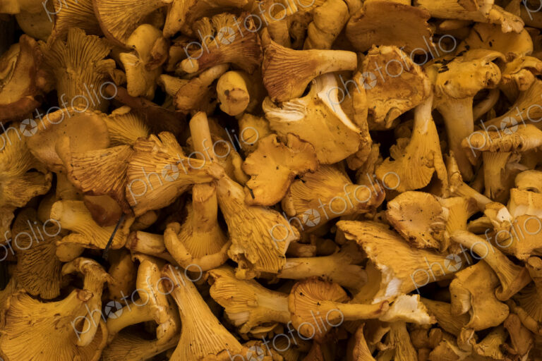High angle close up of fresh Chanterelle mushrooms at a market stall.