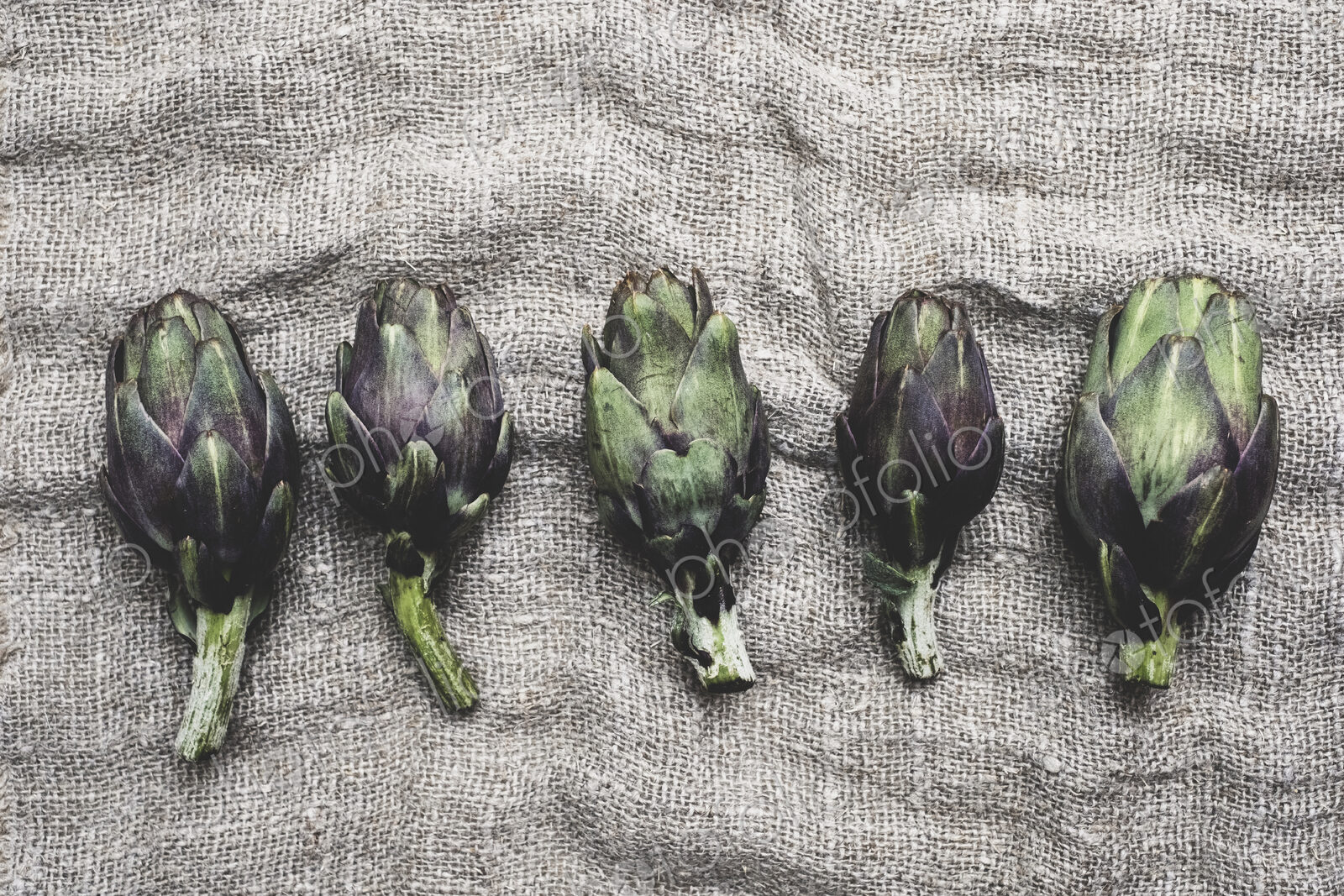High angle close up of fresh artichokes on a grey background