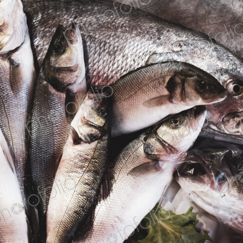High angle close up of fresh fish at a market stall. High angle close up of fresh fish at a market stall.