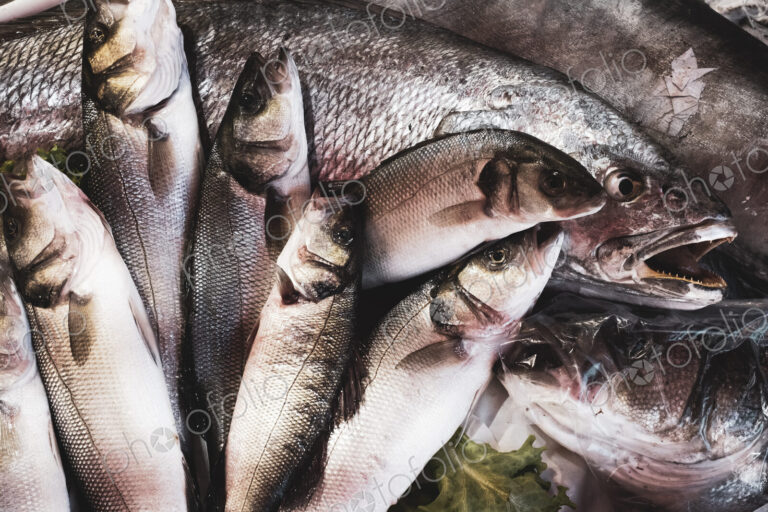 High angle close up of fresh fish at a market stall.