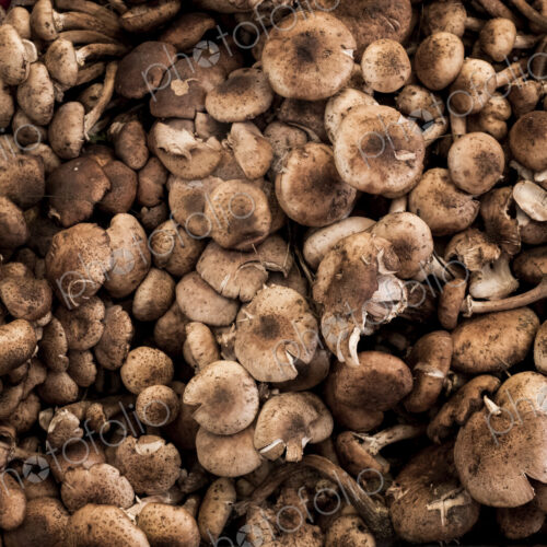 High angle close up of fresh mushrooms at a market stall. High angle close up of fresh mushrooms at a market stall.