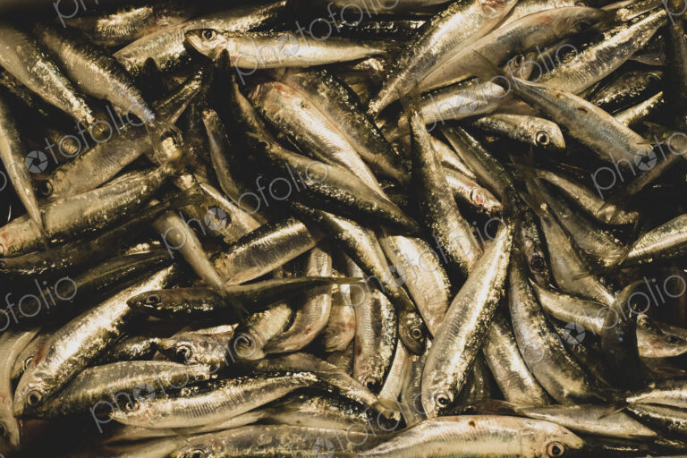 High angle close up of fresh sardines at a market stall.