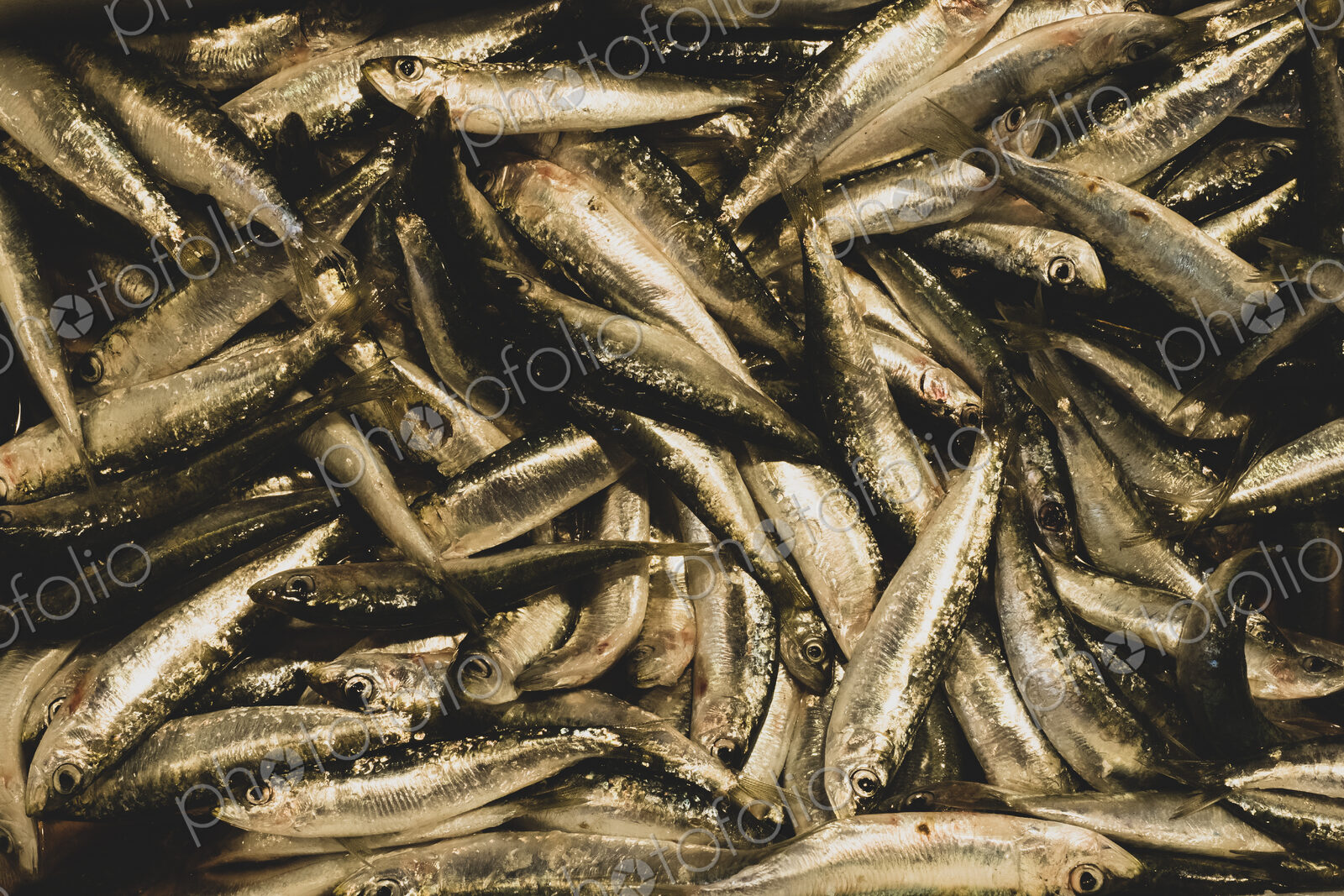 High angle close up of fresh sardines at a market stall.