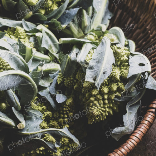 High angle close up of freshly harvested green Romanesco cauliflowers in wicker basket. High angle close up of freshly harvested green Romanesco cauliflowers in wicker basket.