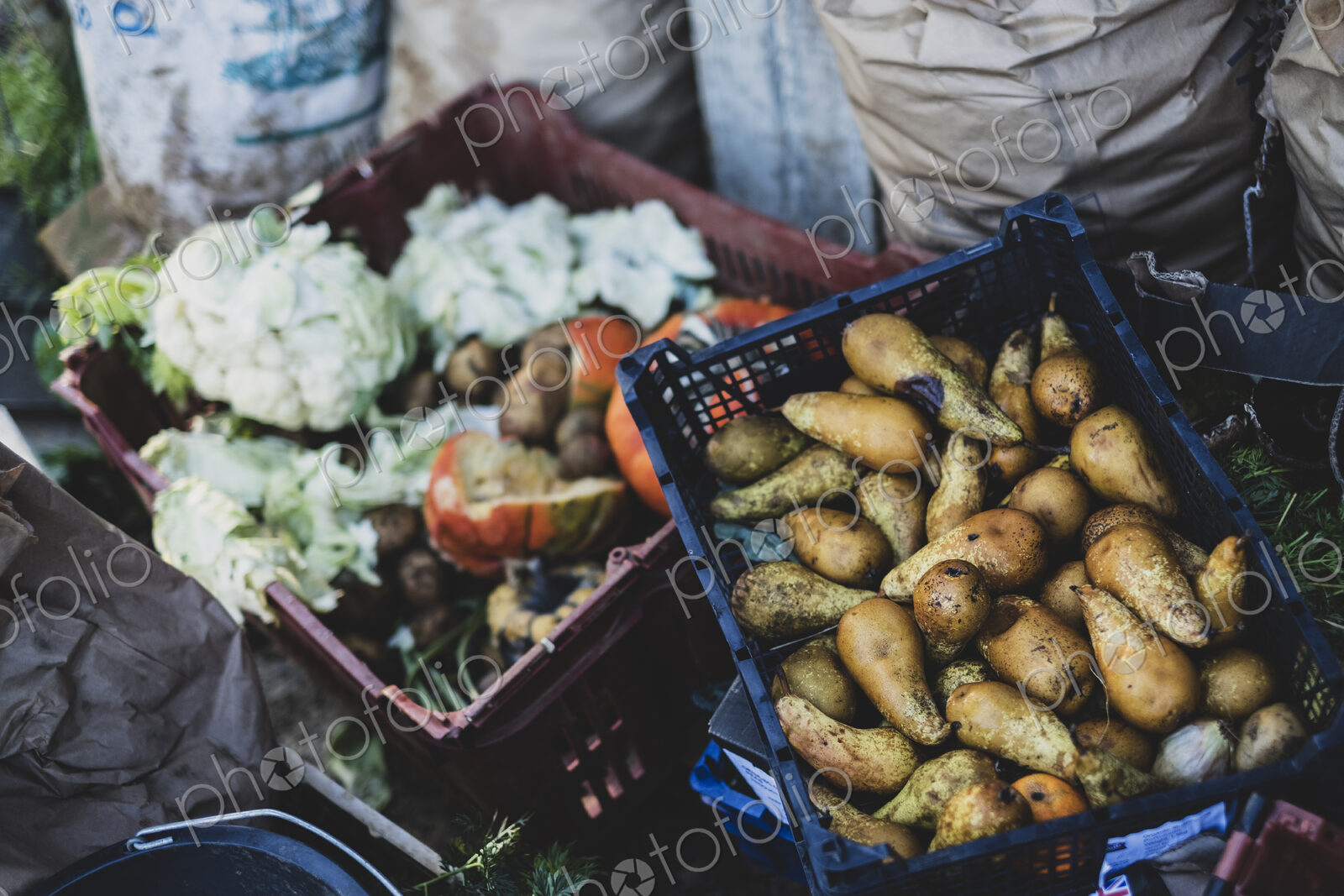 High angle close up of freshly harvested pears, cauliflowers and pumpkins in crates.