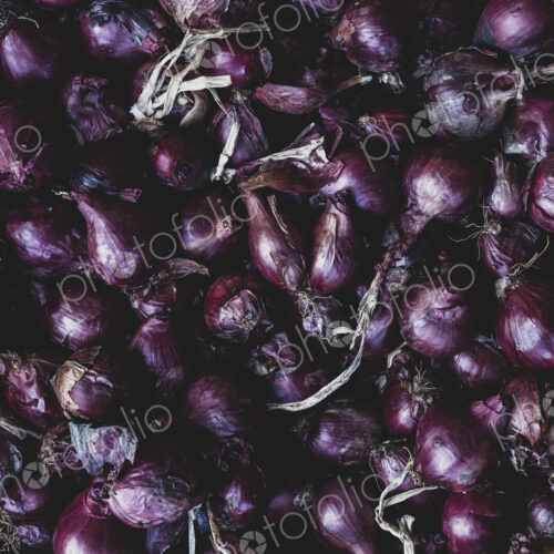 High angle close up of freshly harvested red onions. High angle close up of freshly harvested red onions.
