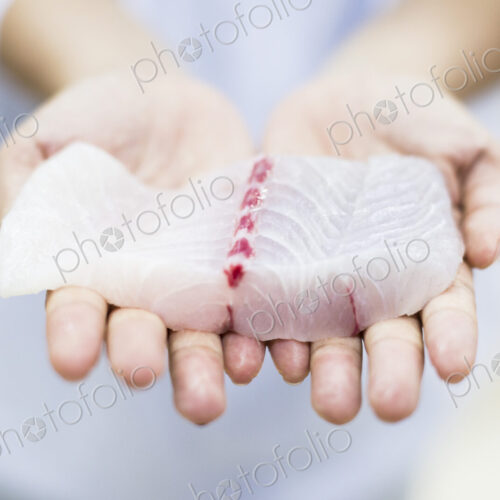High angle close up of hands holding fresh fillet of white fish, Barramundi, Asian Sea… High angle close up of hands holding fresh fillet of white fish, Barramundi, Asian Sea…