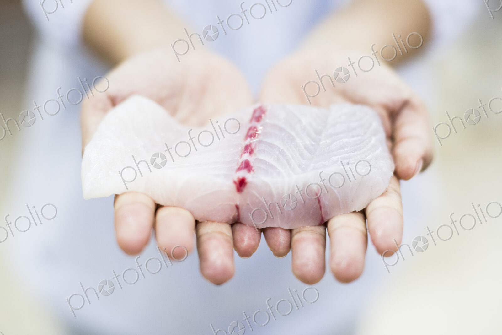 High angle close up of hands holding fresh fillet of white fish, Barramundi, Asian Sea…