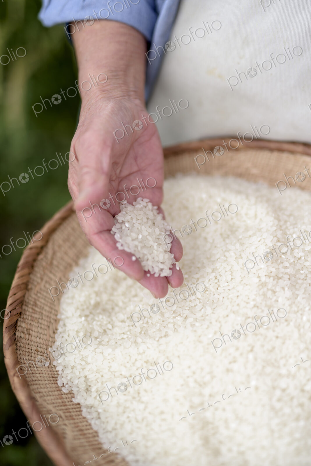 High angle close up of human hand holding bowl with freshly harvested rice grains.